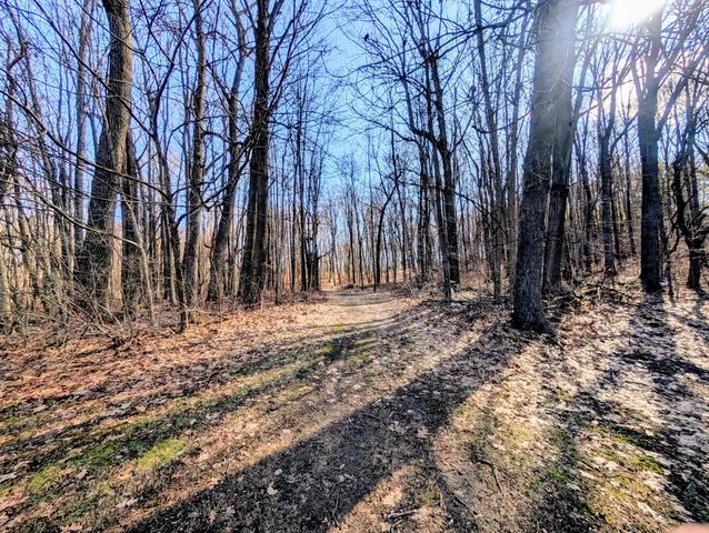 12500 11 Mile Road, Emmett Twp, MI 49033