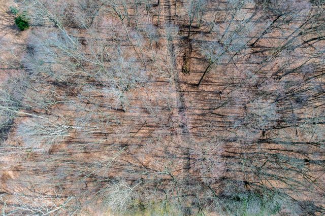 12500 11 Mile Road, Emmett Twp, MI 49033