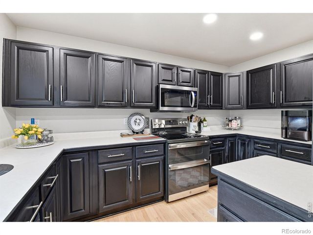 3004 Ravenhill Circle, Highlands Ranch, CO 80126