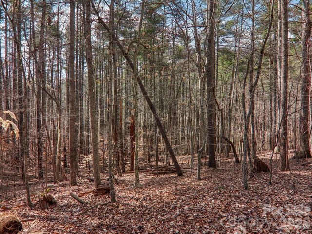 74 Woodson Drive, Mars Hill, NC 28754