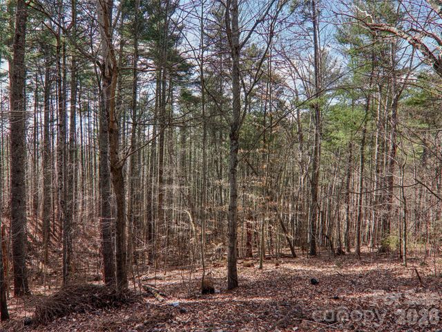 74 Woodson Drive, Mars Hill, NC 28754