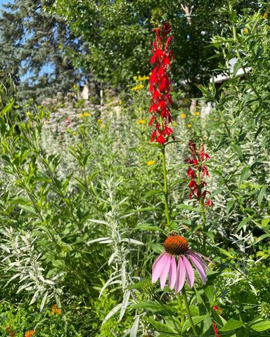 4231 Nokomis Avenue S, Minneapolis, MN 55406