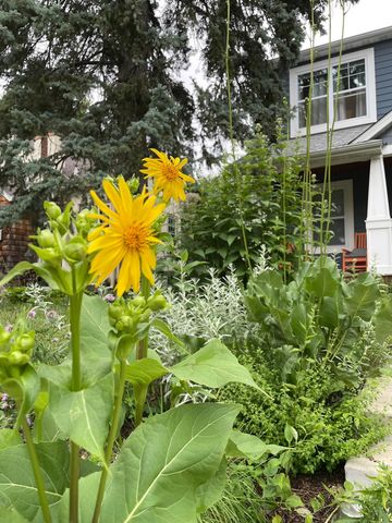 4231 Nokomis Avenue S, Minneapolis, MN 55406