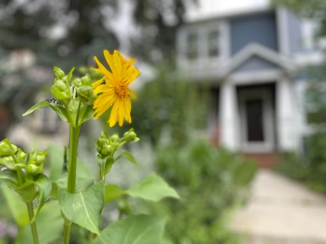 4231 Nokomis Avenue S, Minneapolis, MN 55406