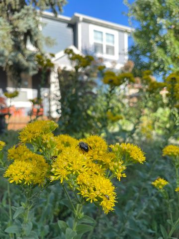 4231 Nokomis Avenue S, Minneapolis, MN 55406