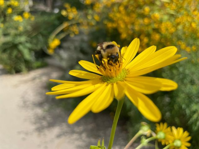 4231 Nokomis Avenue S, Minneapolis, MN 55406