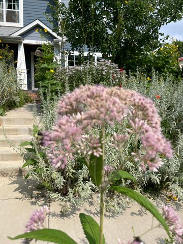 4231 Nokomis Avenue S, Minneapolis, MN 55406