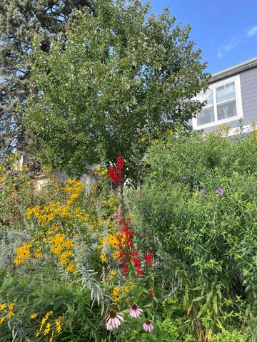 4231 Nokomis Avenue S, Minneapolis, MN 55406