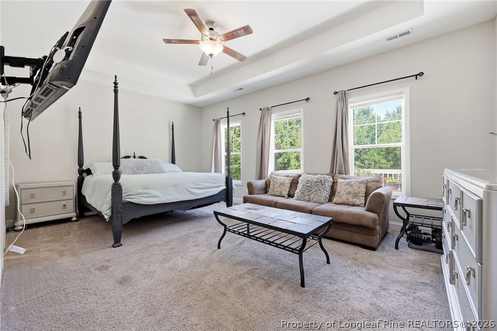 249 Stock Market Drive, Broadway, NC 27505 — photo 23