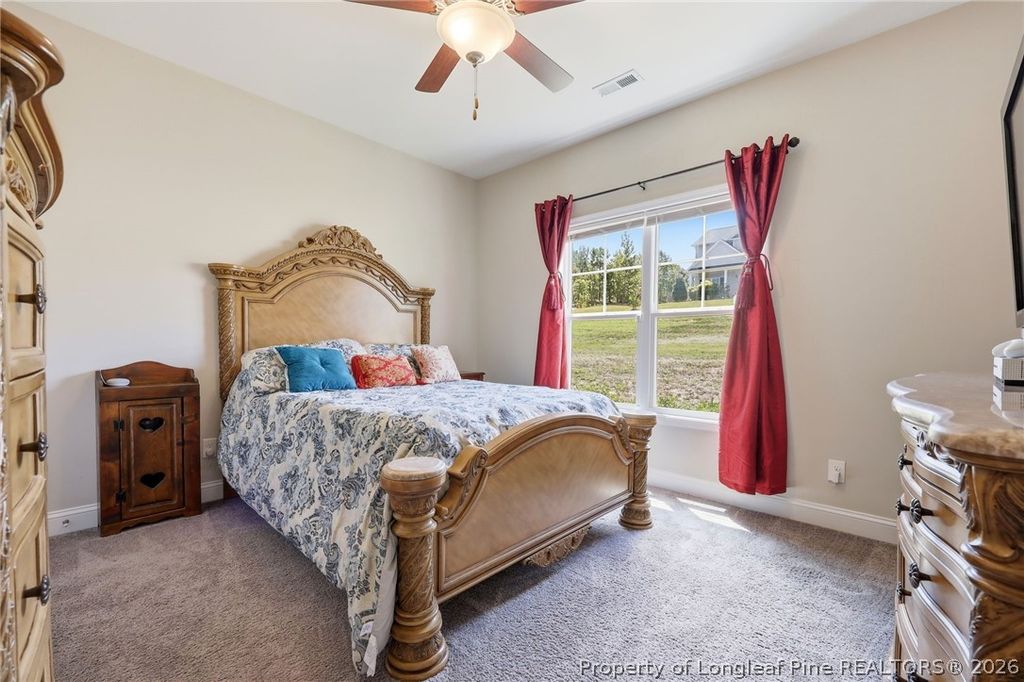 249 Stock Market Drive, Broadway, NC 27505 — photo 30