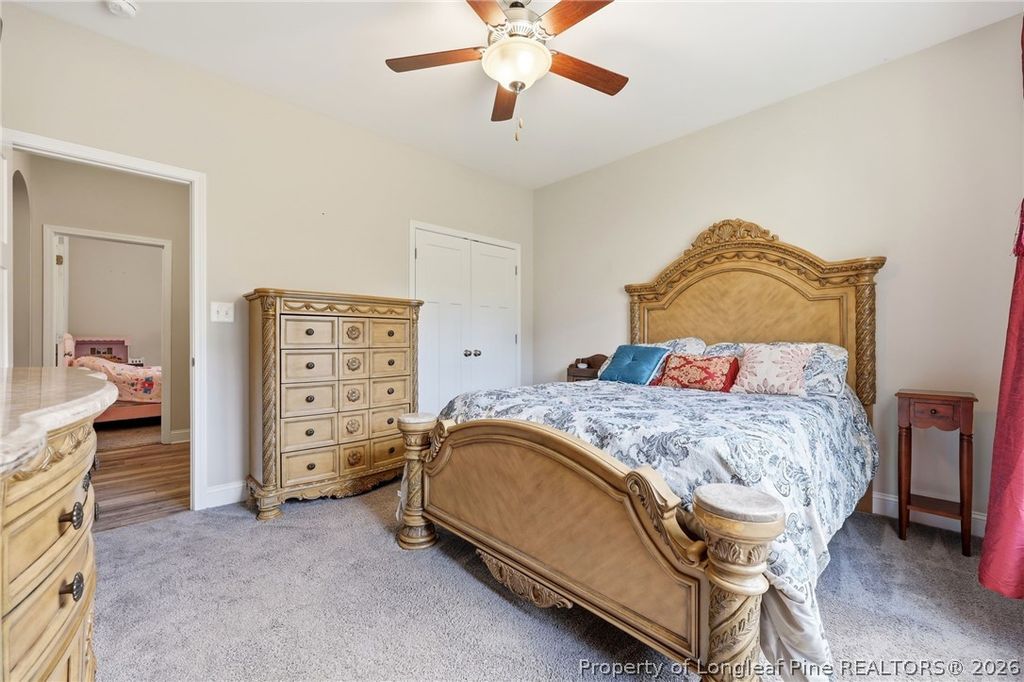 249 Stock Market Drive, Broadway, NC 27505 — photo 31