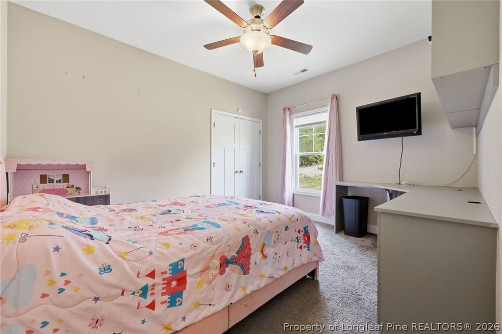 249 Stock Market Drive, Broadway, NC 27505 — photo 34