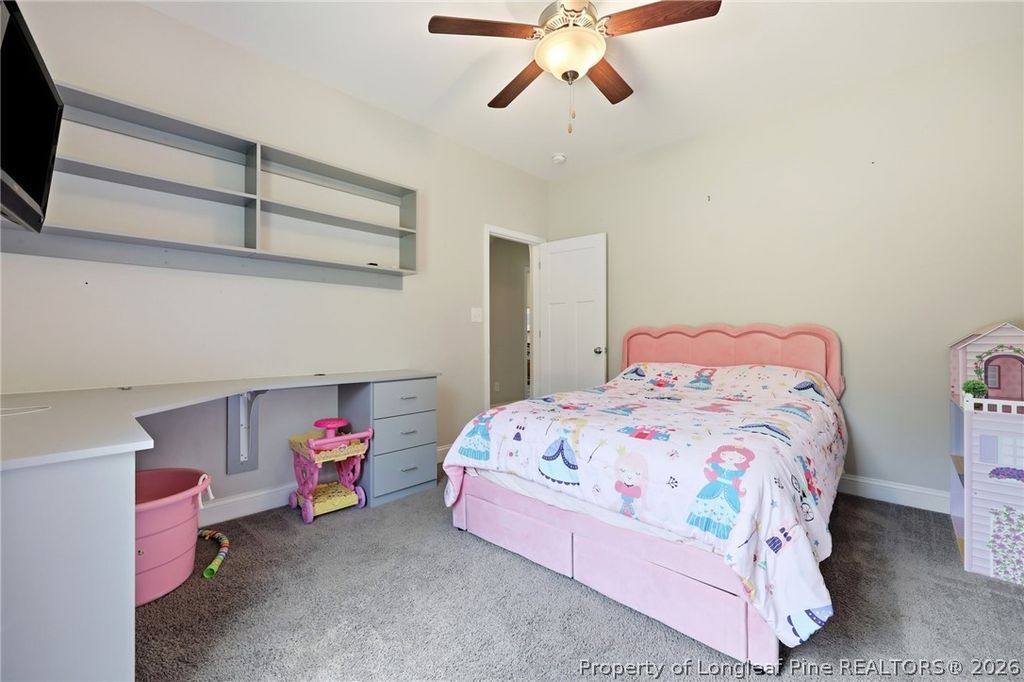 249 Stock Market Drive, Broadway, NC 27505 — photo 35