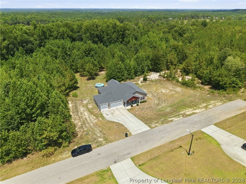 249 Stock Market Drive, Broadway, NC 27505 — photo 42