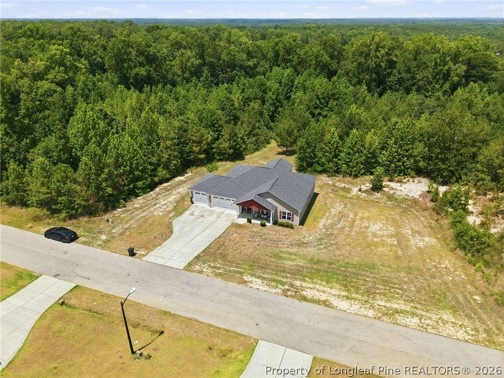 249 Stock Market Drive, Broadway, NC 27505 — photo 5