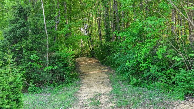 212 Juanita Dr, Springfield, TN 37172