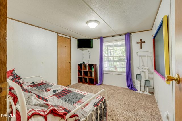 1285 Frank Roberts Road, Afton, TN 37616