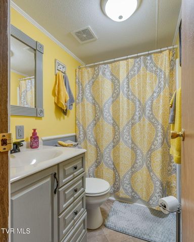 1285 Frank Roberts Road, Afton, TN 37616