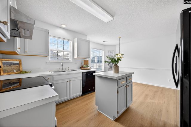 117 Wisteria Way, Lexington, SC 29072