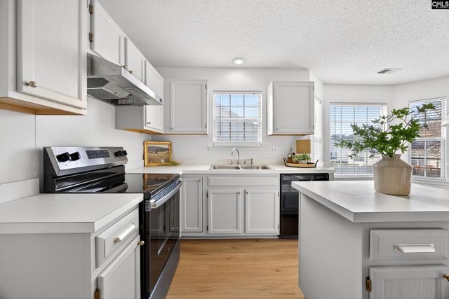 117 Wisteria Way, Lexington, SC 29072