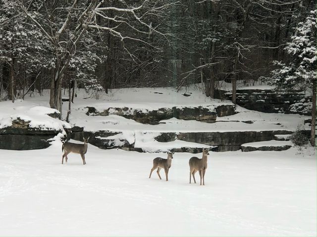 530 Moncrief Ave, Goodlettsville, TN 37072