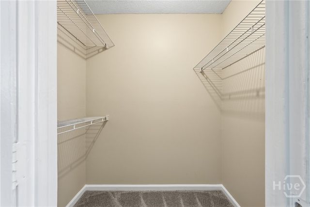 13 Doe Tail Court, Savannah, GA 31405