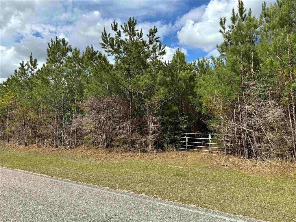 0 Maytower Road, Stockton, AL 36579 — photo 3