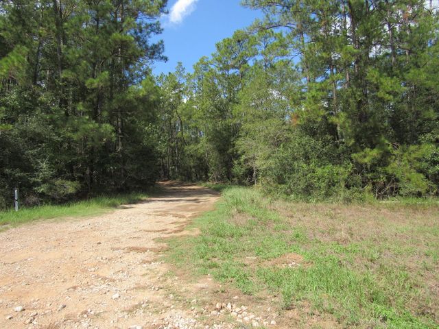 2223 Crysel Road, Cleveland, TX 77328