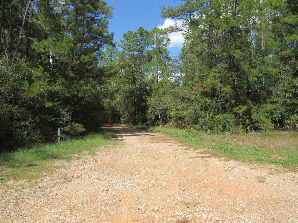 2223 Crysel Road, Cleveland, TX 77328