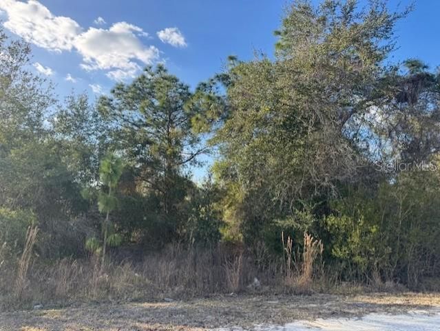 35367 KRAMER STREET, Webster, FL 33597