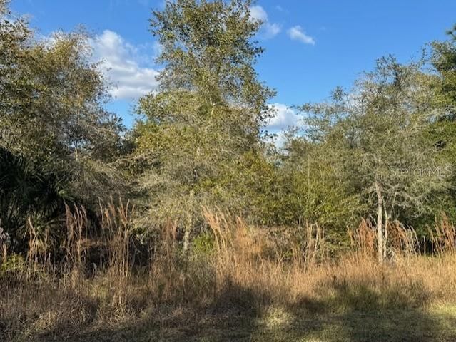 35367 KRAMER STREET, Webster, FL 33597