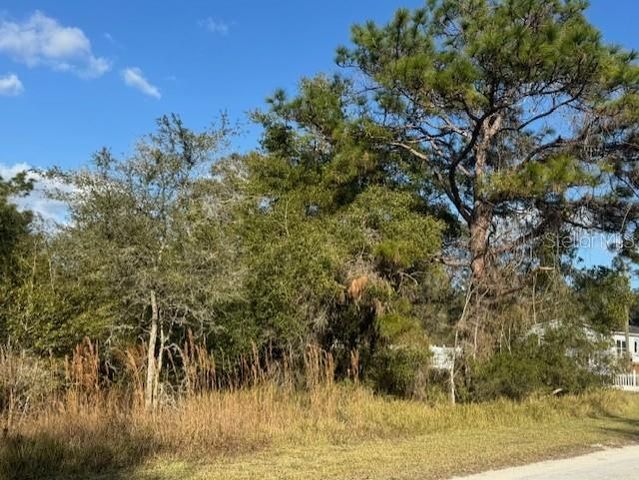 35367 KRAMER STREET, Webster, FL 33597