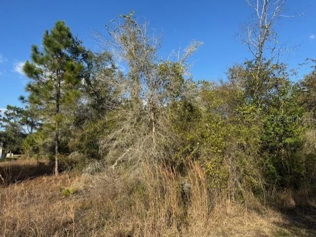 35367 KRAMER STREET, Webster, FL 33597