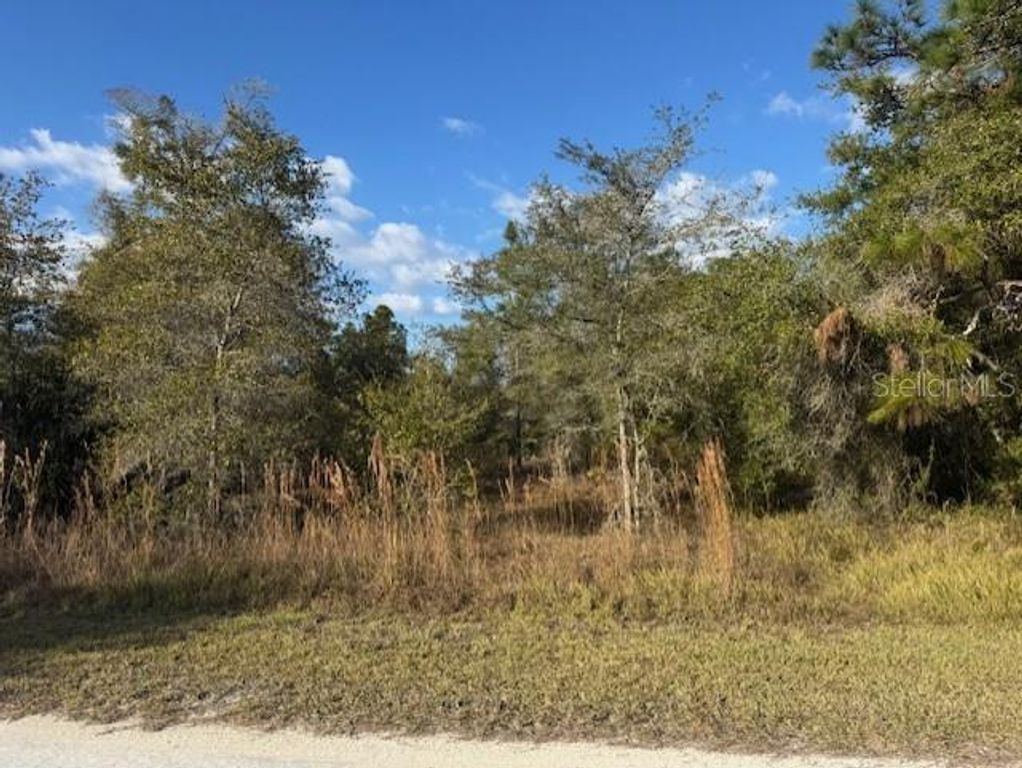 35367 KRAMER STREET, Webster, FL 33597