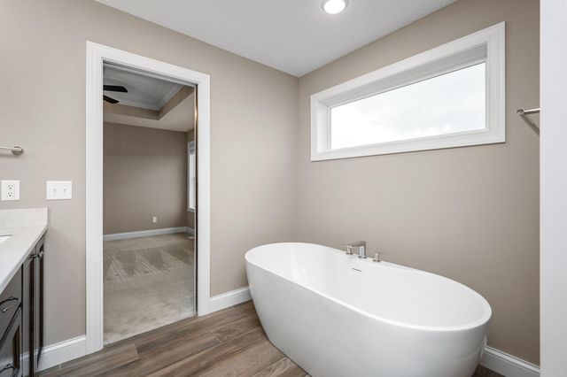 12790 Lake Vista Lane, Champlin, MN 55316