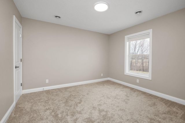 12790 Lake Vista Lane, Champlin, MN 55316