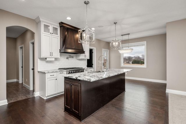 12790 Lake Vista Lane, Champlin, MN 55316