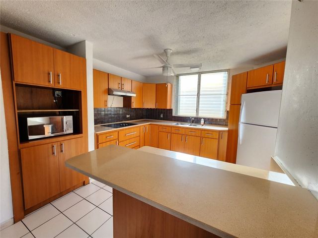 30 BORBON AVENUE A506, Guaynabo, PR 00965