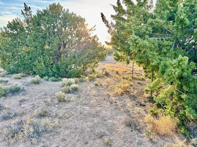 Subd: ANASAZI TRAILS Lot: 100, Placitas, NM 87043