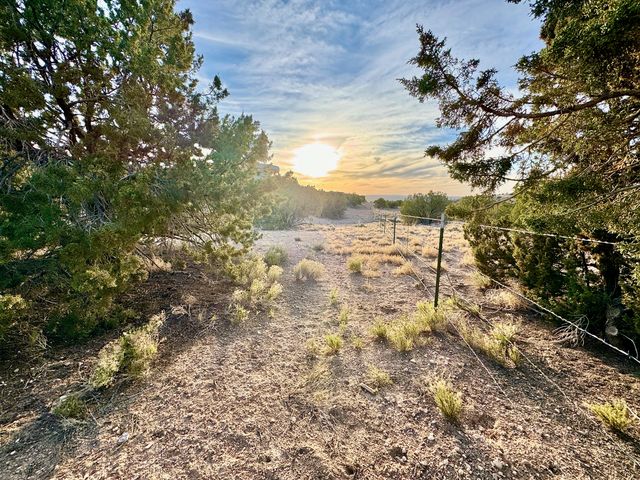 Subd: ANASAZI TRAILS Lot: 100, Placitas, NM 87043