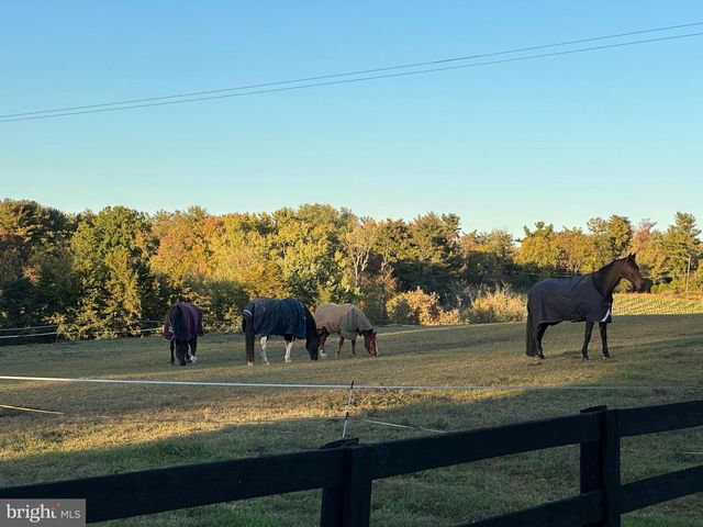 11520 LUVIE CT, Potomac, MD 20854