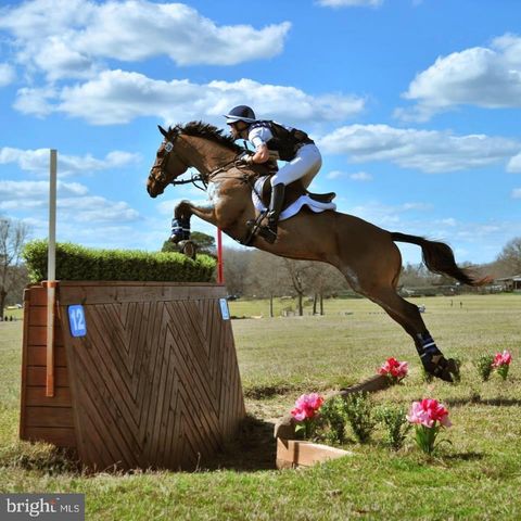 11520 LUVIE CT, Potomac, MD 20854