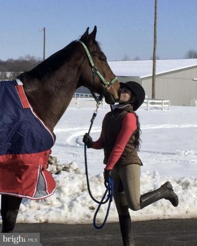 11520 LUVIE CT, Potomac, MD 20854