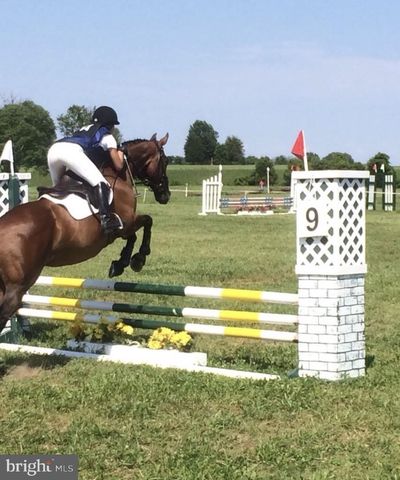 11520 LUVIE CT, Potomac, MD 20854