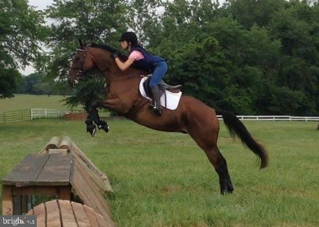 11520 LUVIE CT, Potomac, MD 20854