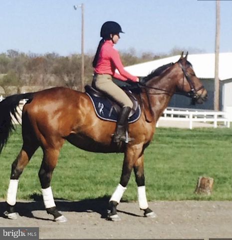 11520 LUVIE CT, Potomac, MD 20854