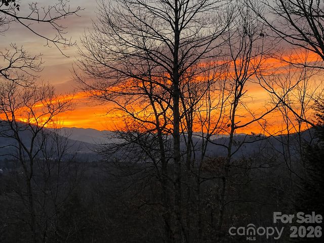 43 Galax Lane, Black Mountain, NC 28711