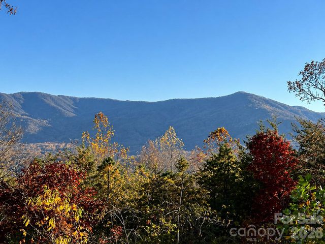 43 Galax Lane, Black Mountain, NC 28711