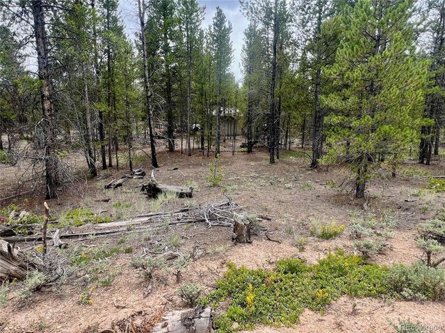 284 Fir Dr, Twin Lakes, CO 80461