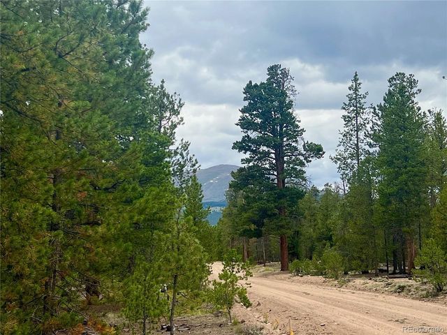 284 Fir Dr, Twin Lakes, CO 80461